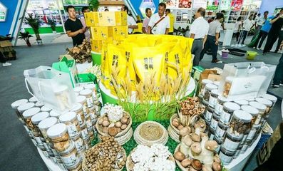 對接長三角市場！阜陽組團參加上海農交會，食用油產品受關注