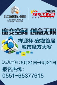 馬鋼股份收購法國公司 境外收購成皖企重要投資方式